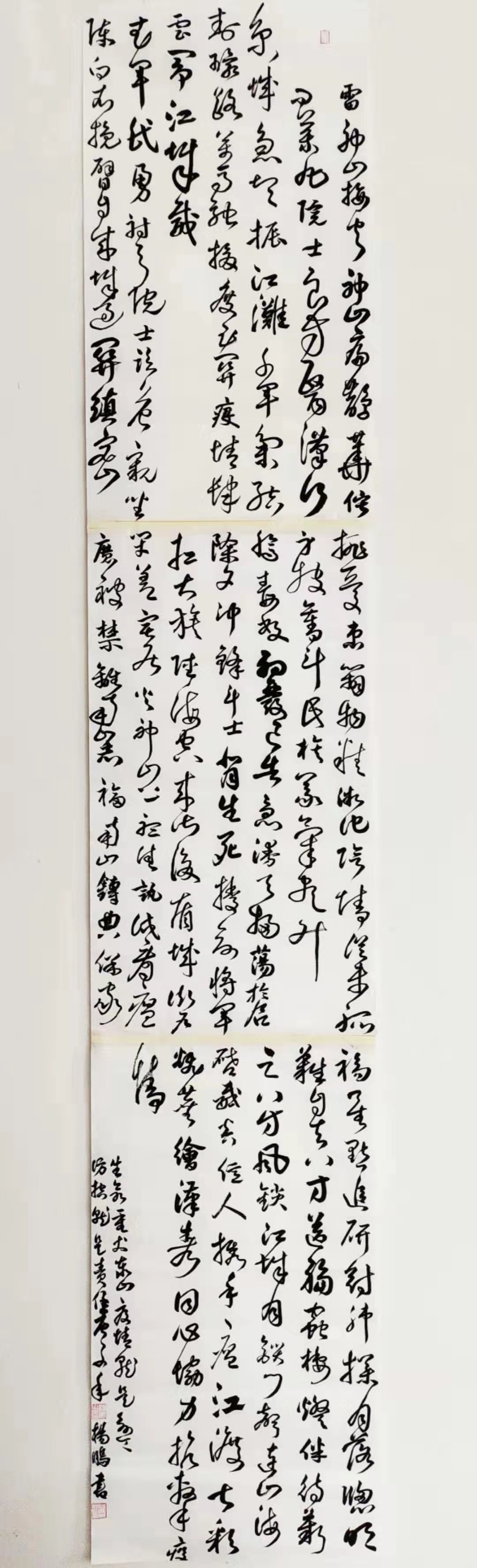 安远县，杨鹏，《同心协力，抗击疫情》，书法草书，18270755332.jpg