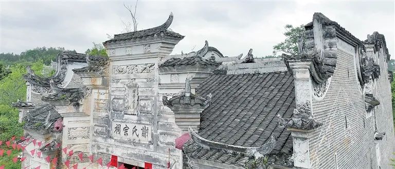 640(8).png 640(8).png