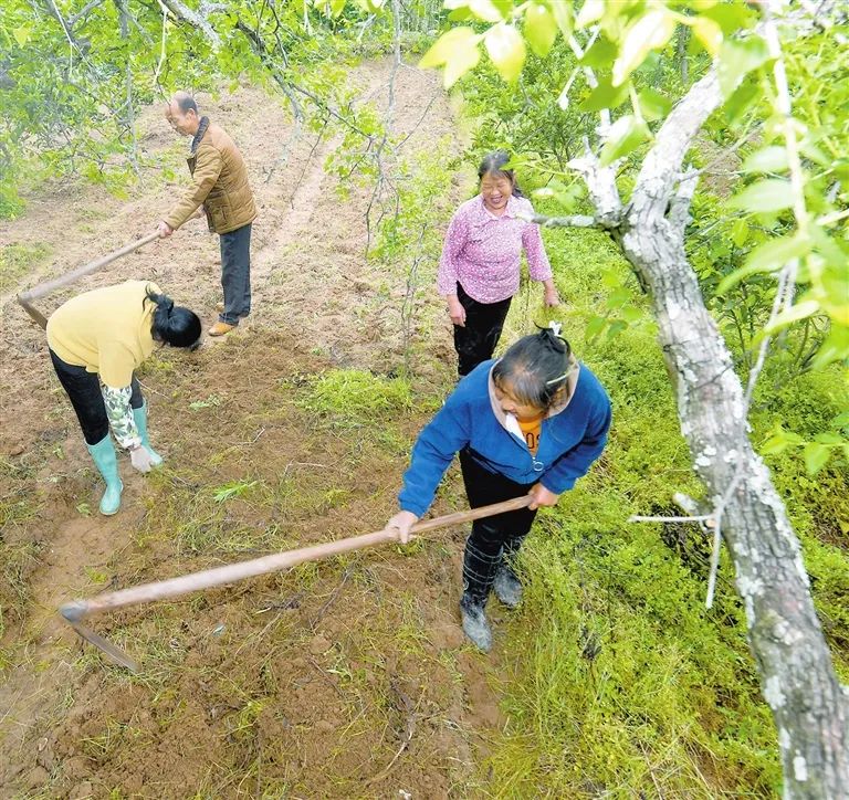 640(9).png 640(9).png