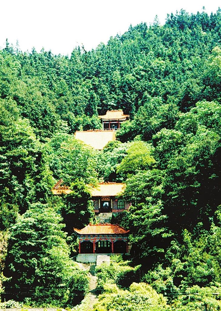 640(6).png 640(6).png