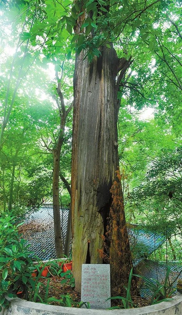 640(9).png 640(9).png