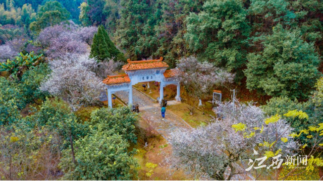 640(4).png 640(4).png