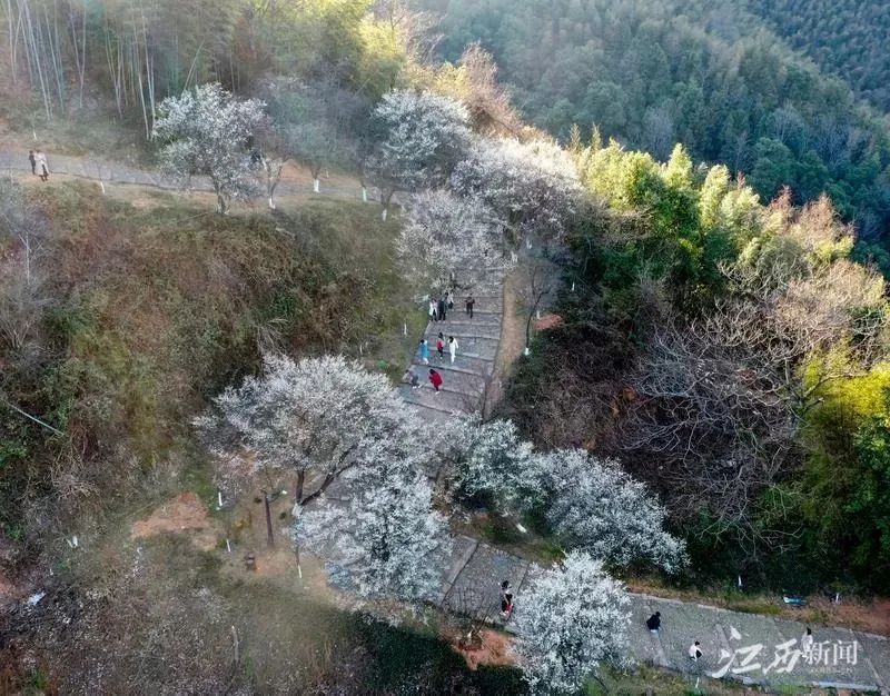 640(6).png 640(6).png