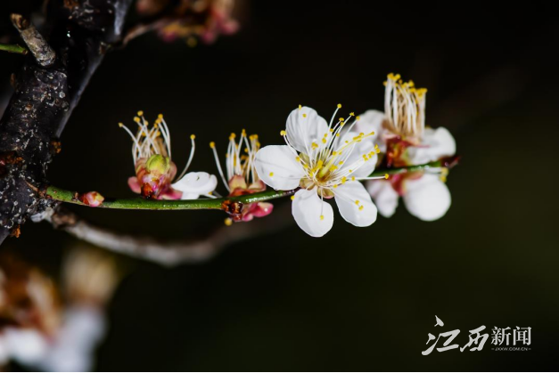 640(7).png 640(7).png