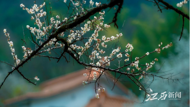 640(8).png 640(8).png