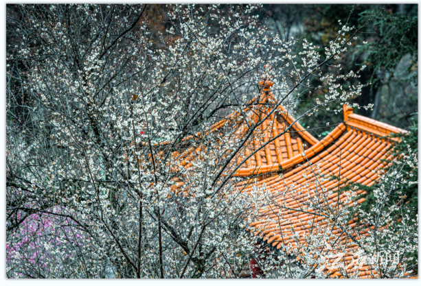 640 (1).png 640 (1).png