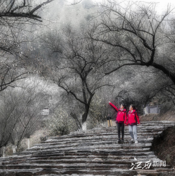 640(10).png 640(10).png