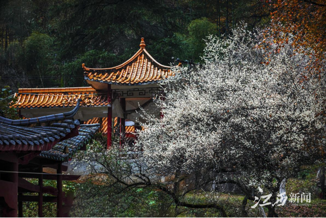 640(11).png 640(11).png