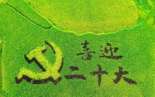 640(2).png 640(2).png