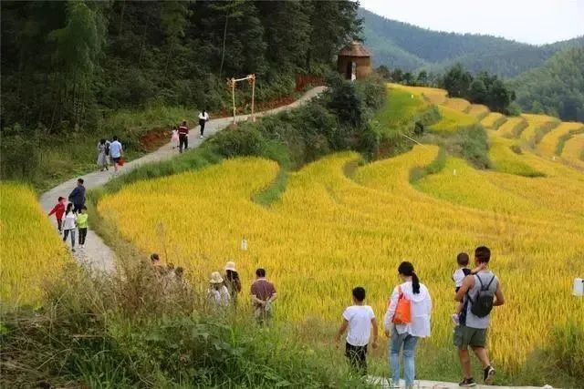 640(5).png 640(5).png