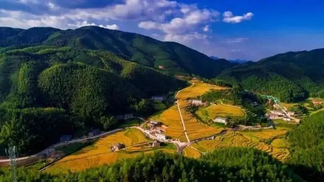 640(9).png 640(9).png