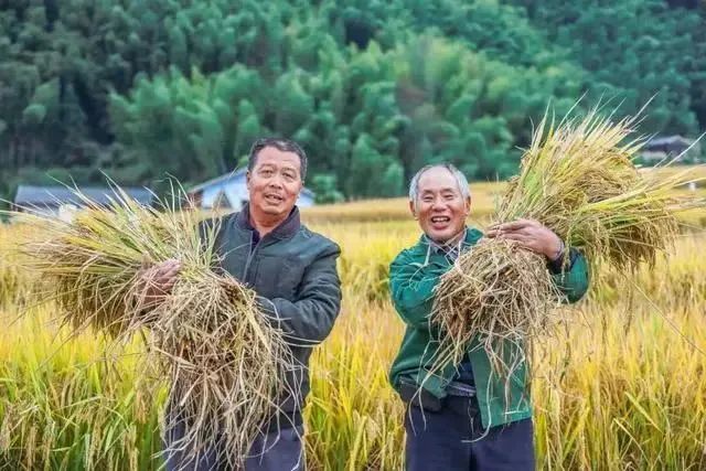 640(10).png 640(10).png