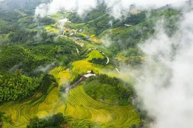 640(11).png 640(11).png