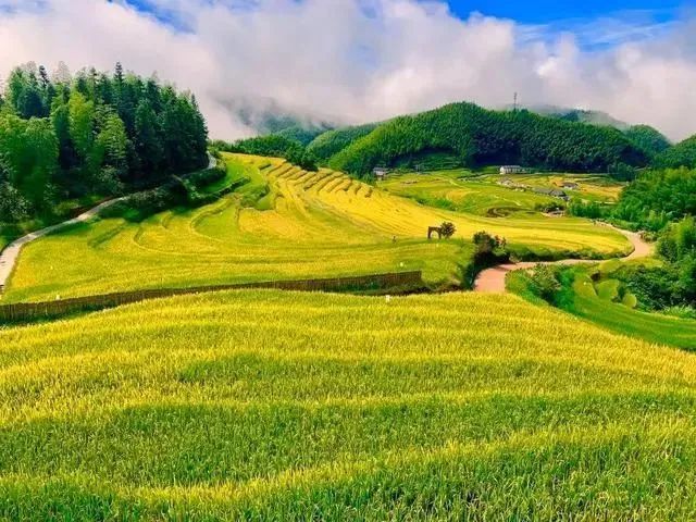 640(12).png 640(12).png