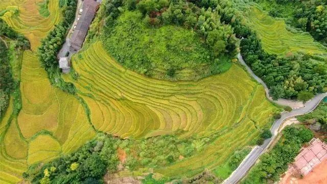 640(15).png 640(15).png