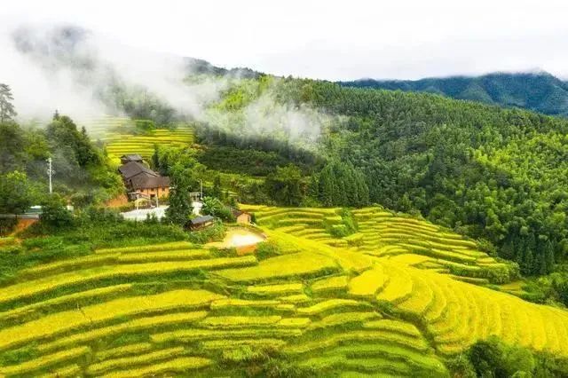 640(17).png 640(17).png