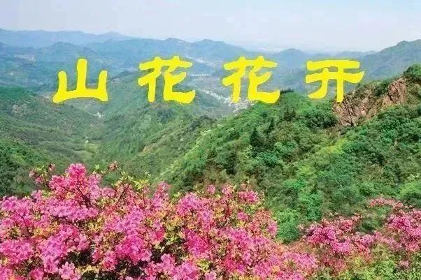 640(4).png 640(4).png