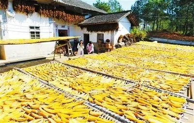 640(2).png 640(2).png