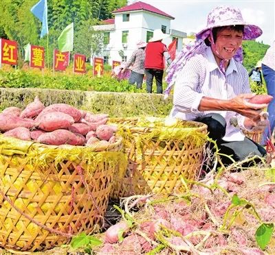 640(4).png 640(4).png