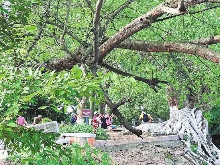 640(2).png 640(2).png