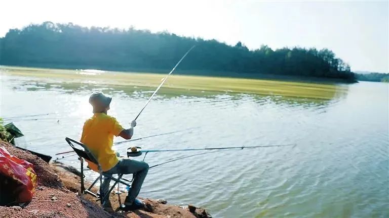 640(7).png 640(7).png