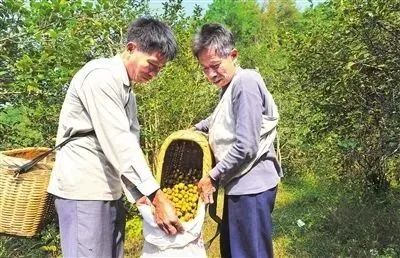 640(1).png 640(1).png