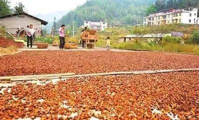 640(2).png 640(2).png