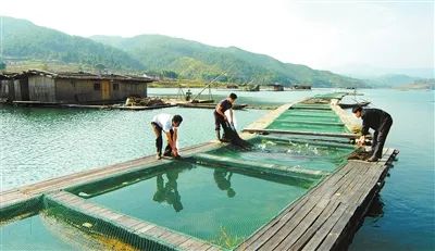 640(7).png 640(7).png